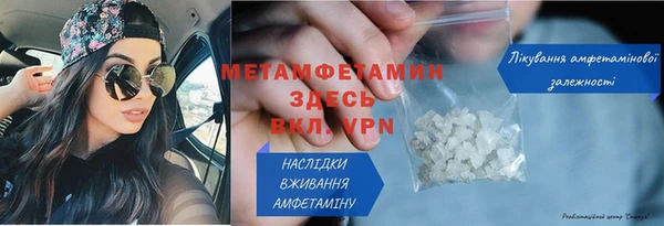 прущие грибы Лихославль