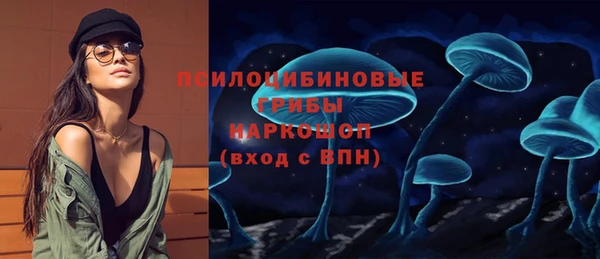 прущие грибы Лихославль