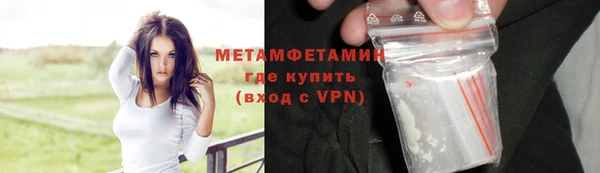 прущие грибы Лихославль