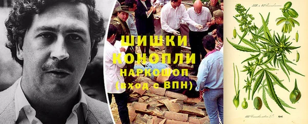 прущие грибы Лихославль