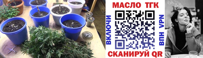 ТГК THC oil  Купить закладки  Звенигород 
