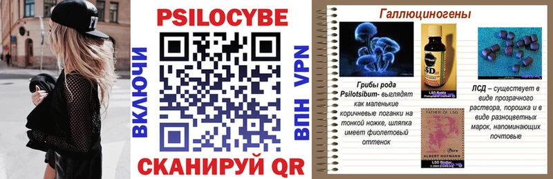 Купить где  Звенигород  Галлюциногенные грибы Psilocybe 